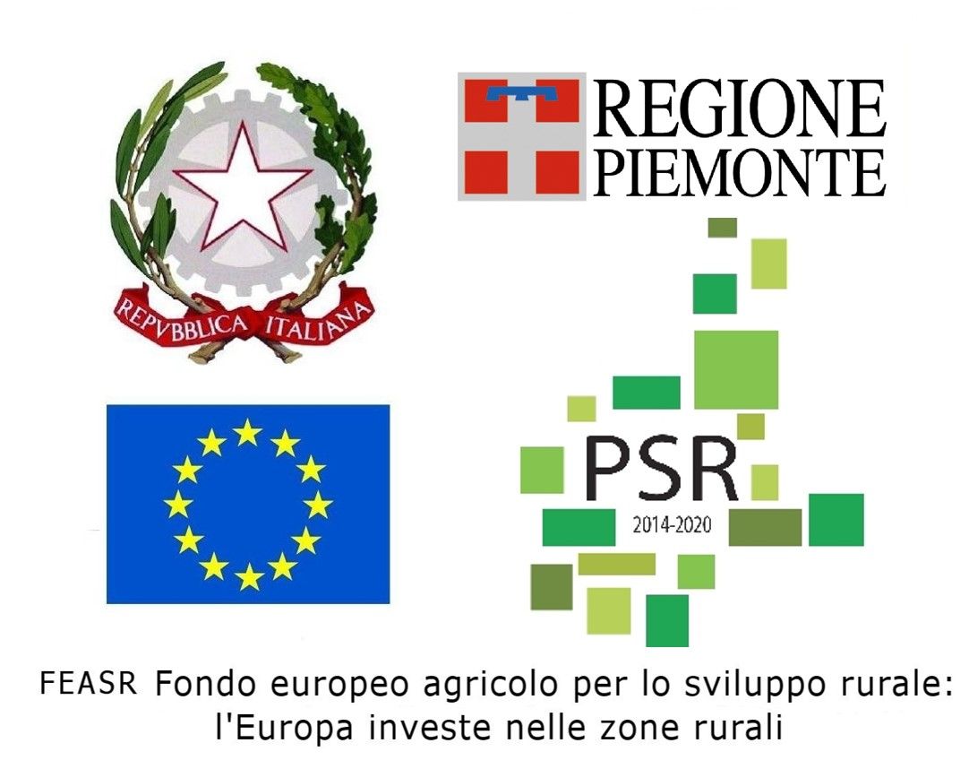 Miglio Francesco — foto 5